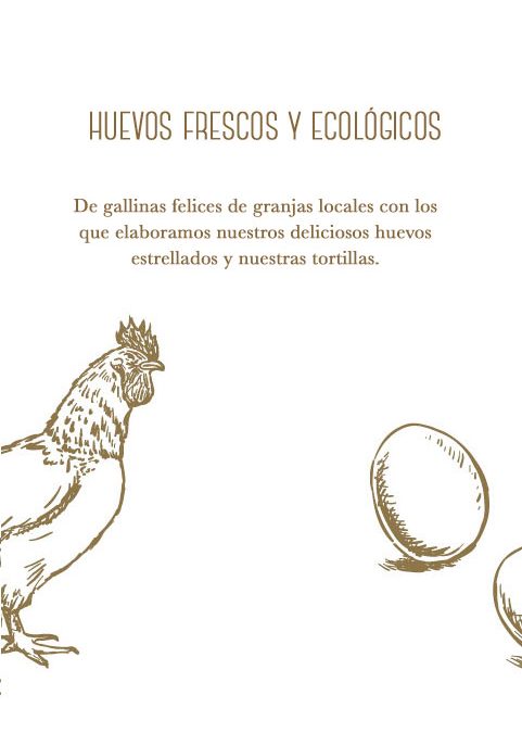 Huevos frescos y ecológicos